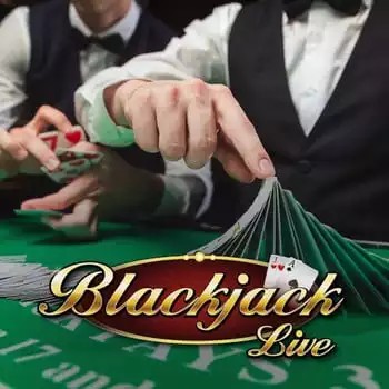 Play the Live Blackjack slot by Evolution on Wolf Casino